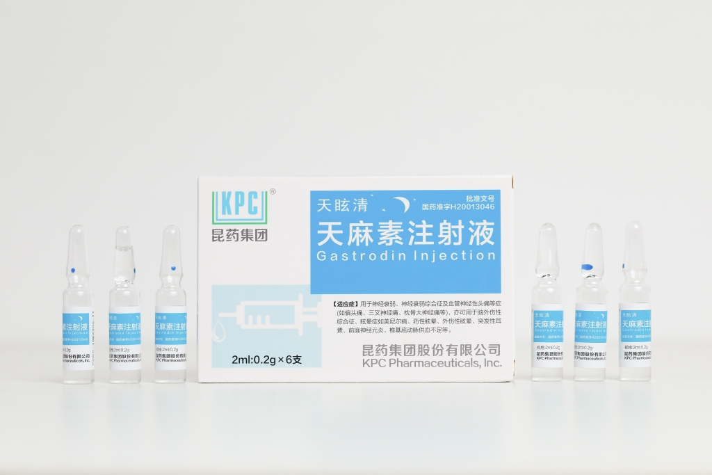 天眩清&reg;天麻素注射液